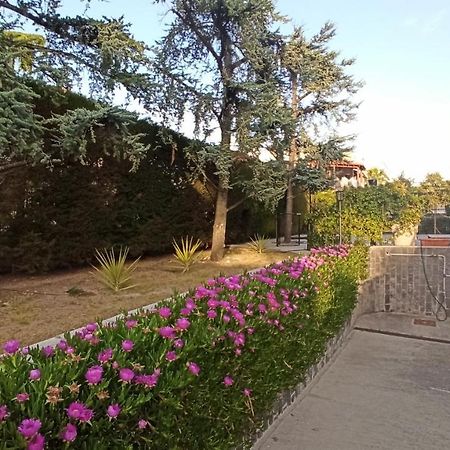Villa Mary - Apartments Trani Exterior foto
